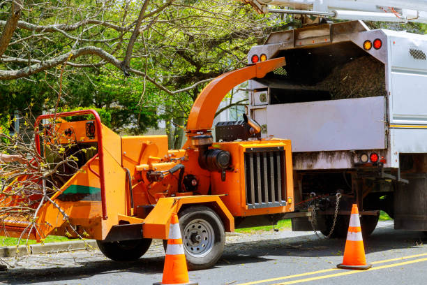 Lawn Grading and Leveling in Oradell, NJ